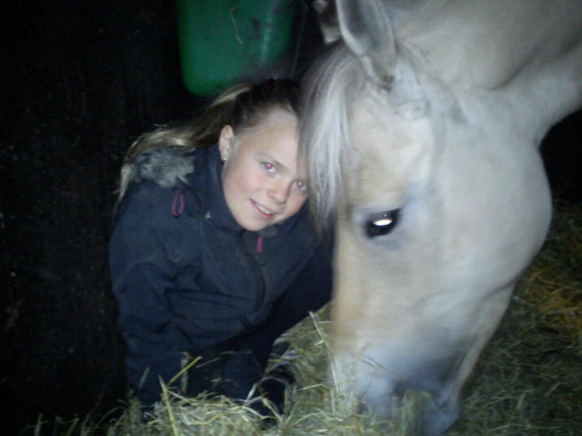 Fjordhest Mille - Nutid Datid <3
min lille ven<3 
jeg ELSKER dig <3
forevigt og Altid<3 billede 19