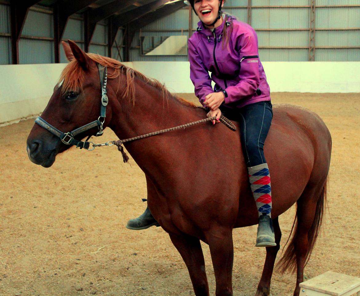 Anden særlig race Ponygården's Megara - Don't wait for the perfect moment, 
take the moment and make i perfect! <3 :-* billede 20