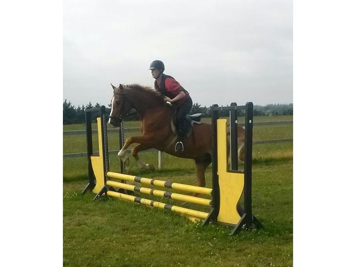 {{currentPhoto.altText}} billede {{currentPhoto.number}}