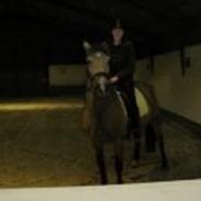 Connemara Happy Dream 