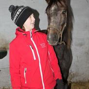 Anden særlig race Stettenborgs Chanel