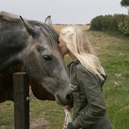 Anden særlig race Vinur