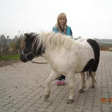 Anden særlig race Victoria