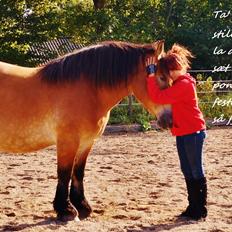 Belgier Sascha *My Soulmate*