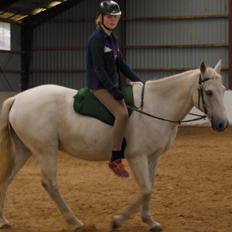 Anden særlig race Nørregårdens Castor