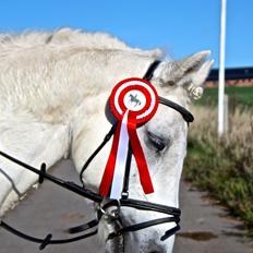 Connemara Hesselholts Marvin <3