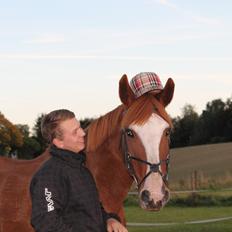 Anden særlig race Isabella (Issa) <3 Solgt :'(