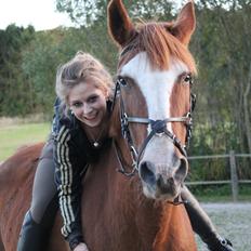 Anden særlig race Isabella (Issa) <3 Solgt :'(