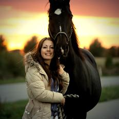 Dansk Varmblod Sazkibard S - MinShishKebab<3