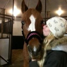 Anden særlig race Luca