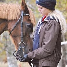 Anden særlig race Luca