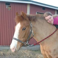 New Forest Beacon Sun <3R.I.P<3