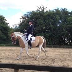 Anden særlig race Michelle