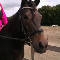 Anden særlig race Magic Malou <3<3