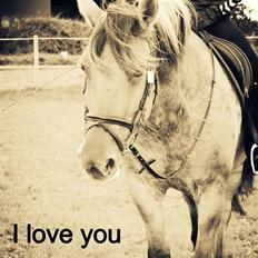 Anden særlig race Bamseline! <3