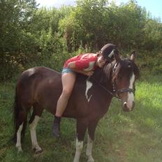 Pinto Mørkbaks pyia<3