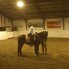 Anden særlig race Zeus