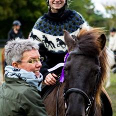 Islænder SVALA FRA ANNERUP (Svalte)