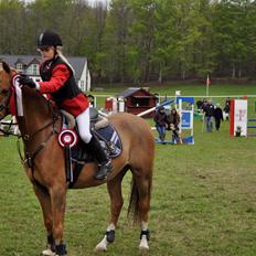 Anden særlig race Sento