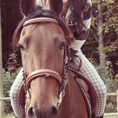 Traver Ofero Langdel *Øffe*