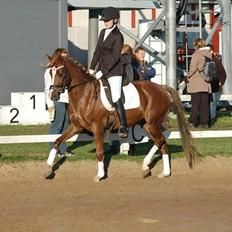 DSP Tofltund's Prinsesse-Chi