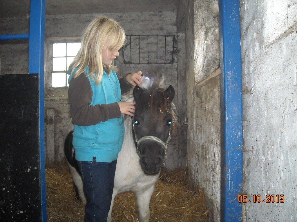 Anden særlig race Victoria - Det er dejligt at blive nusset bag ørerne.. billede 5