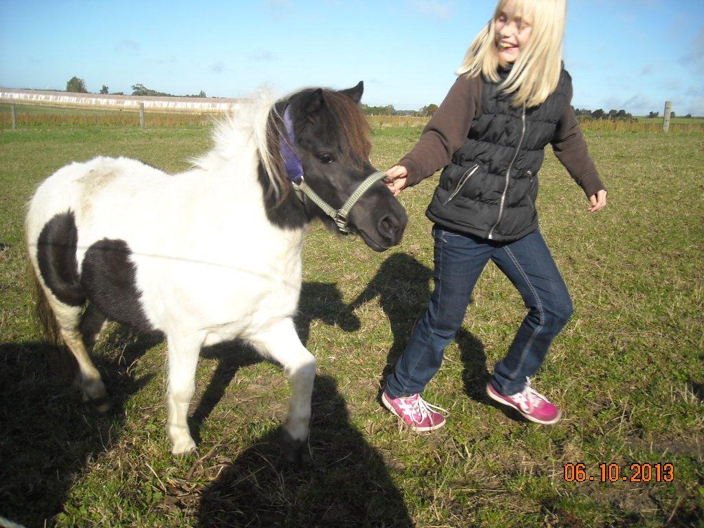 Anden særlig race Victoria - Camilla synes det er sjovt at løbe med Victoria.. billede 17