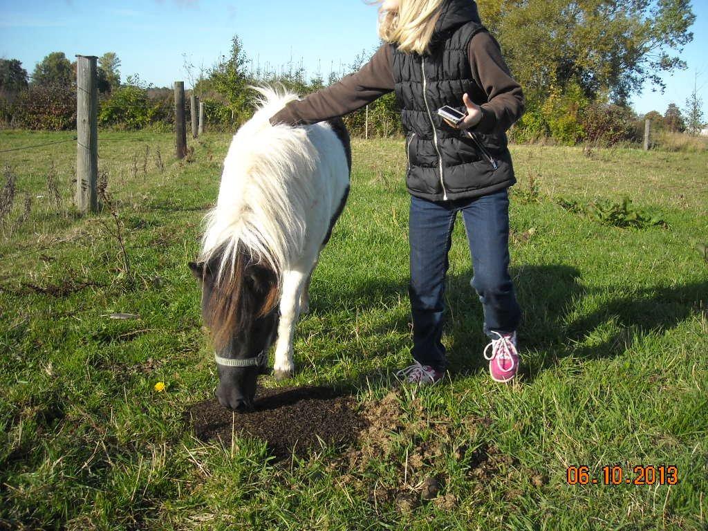 Anden særlig race Victoria - Der var en plet der lige skulle undersøges nærmere.. billede 3