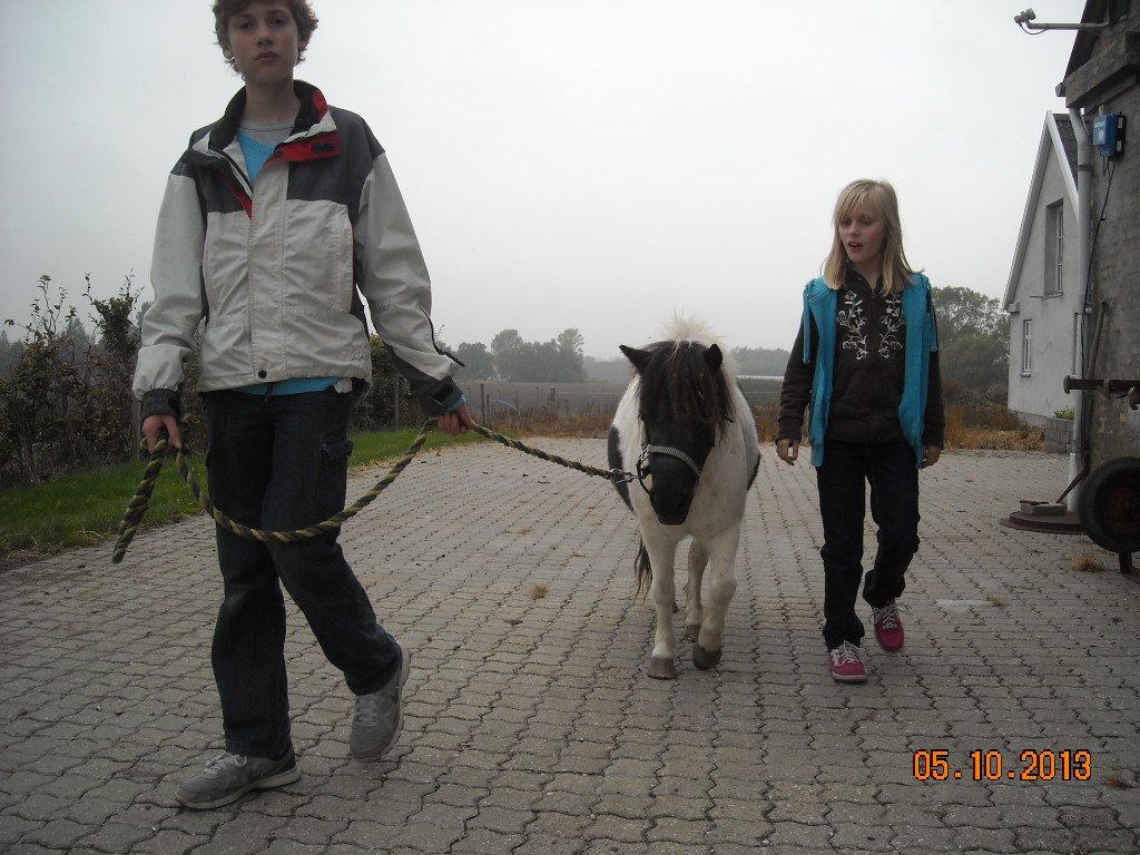 Anden særlig race Victoria - Børnene går en lille tur med Victoria, og hun nød det.. billede 8