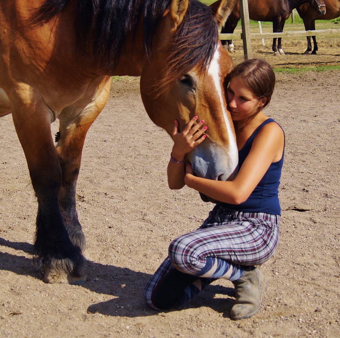 Belgier Sascha *My Soulmate* - hygge hos Mia Lykke <3 billede 9