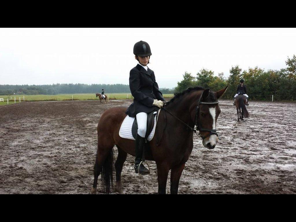 DSP Lundgaards Friday - Andet stævne sammen!<3 LC1: 71,25% og 1 plads... LB3! til 65,5% og 1 plads Stjerne pony<3<3
 billede 19