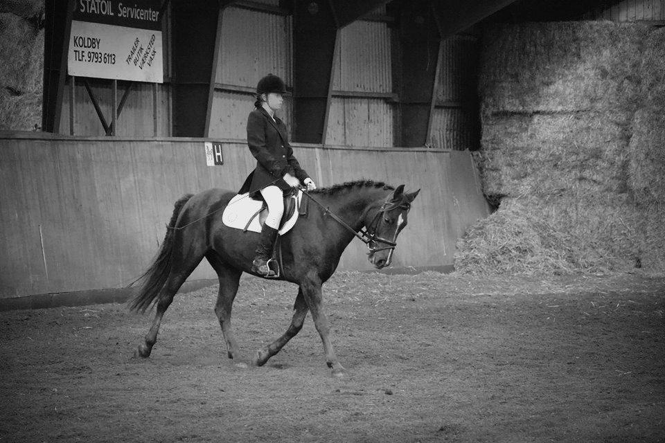 DSP Bæklunds Corvet - første stævne på Corvet :) billede 15