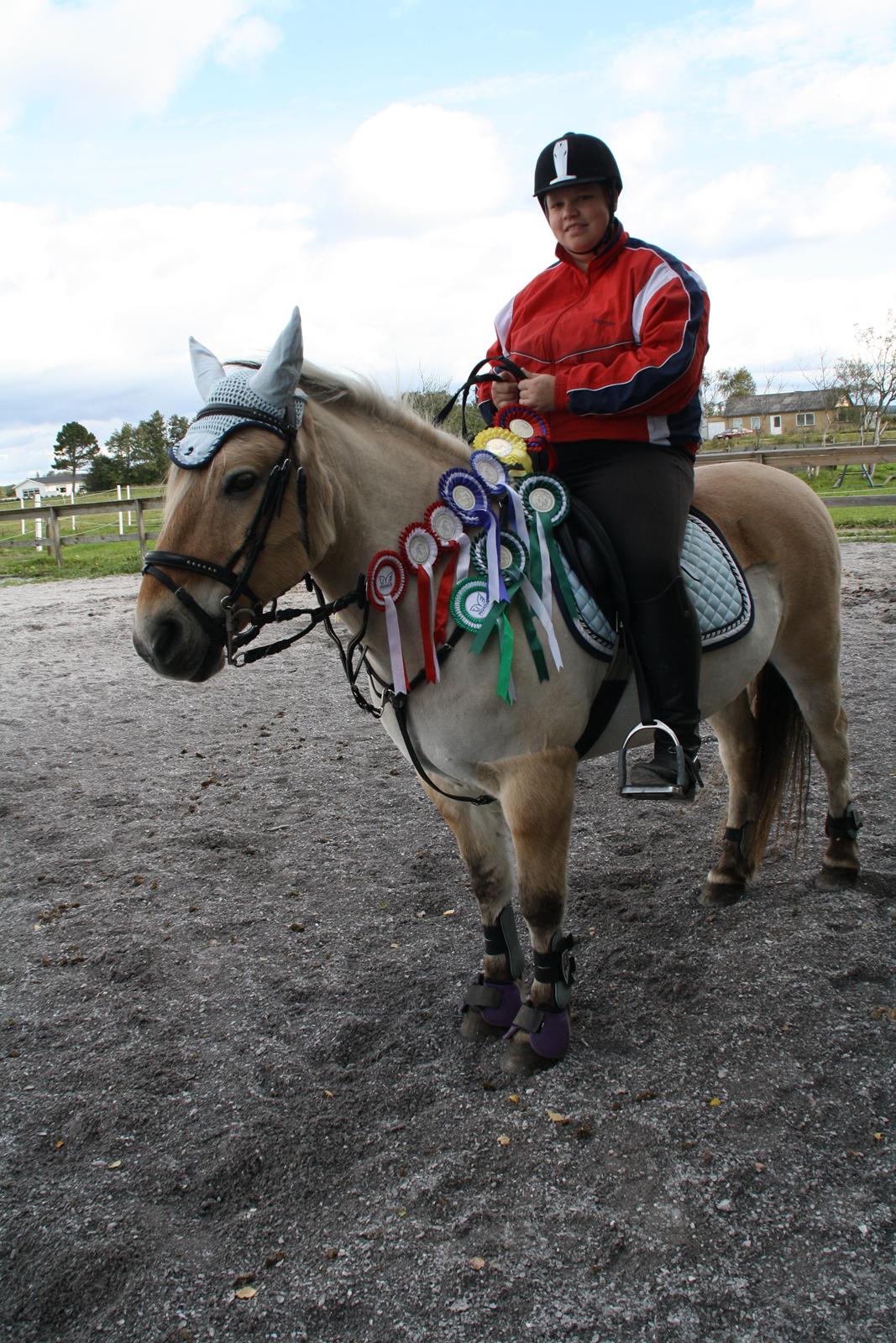 Fjordhest Luffe - sep 2013
det vi vandt sammen billede 41