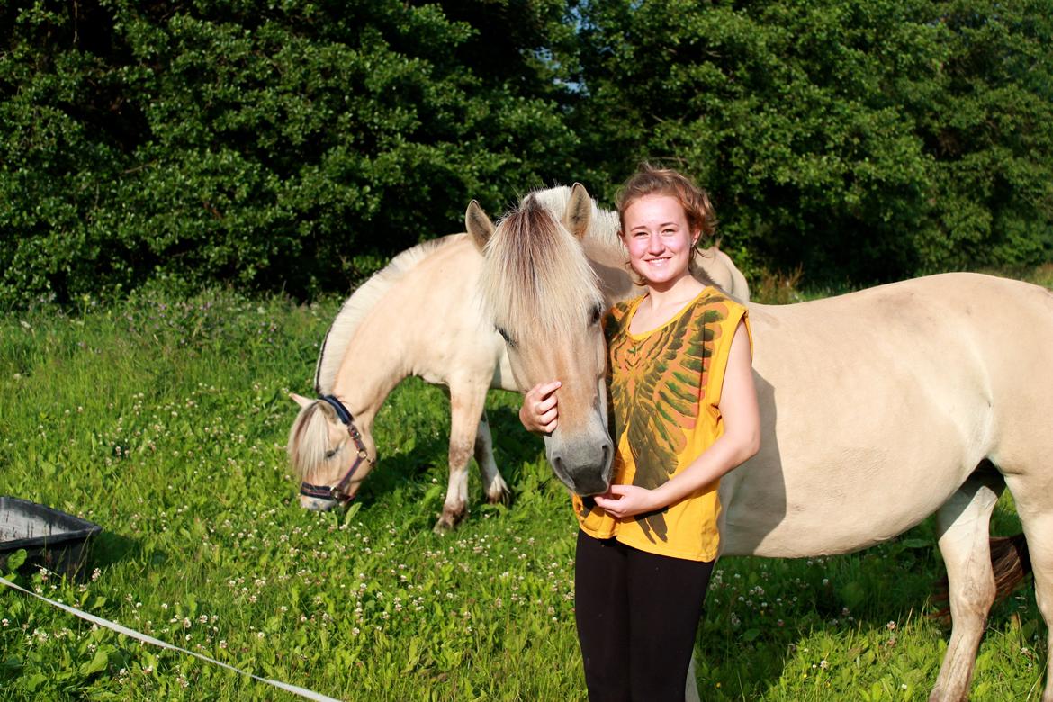 Fjordhest Alibine - Prærievognstur - Sommer 2013  billede 5