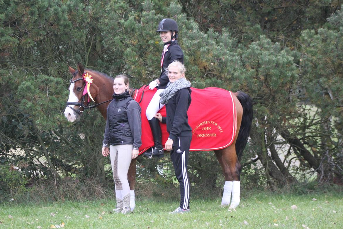 Anden særlig race Karlsbjerggårds Sharingo - Simone og Sharingo - juniormestre i Odsherreds rideklub 2013. Cille, stjernerne og jeg. <3 LC1 til 72,29% Så stolt! billede 2