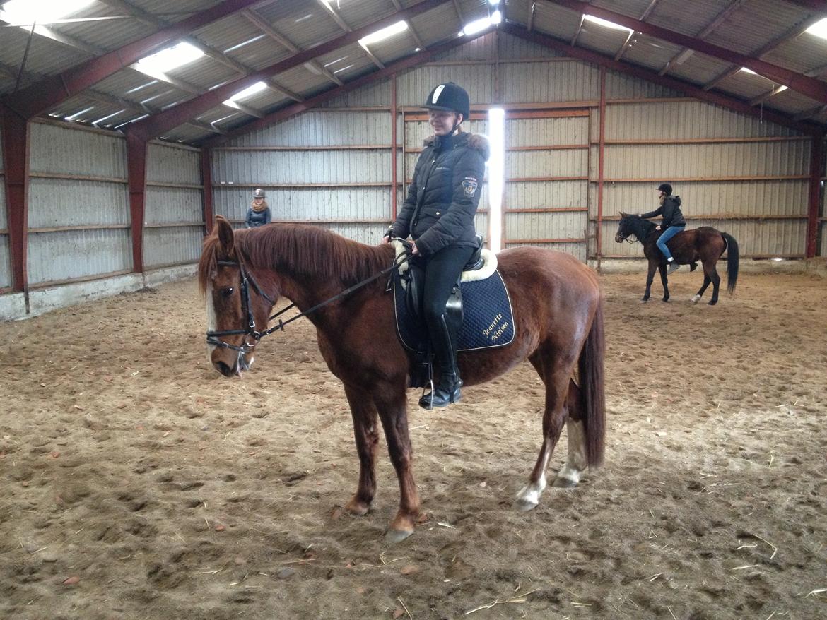 Anden særlig race Erika billede 22