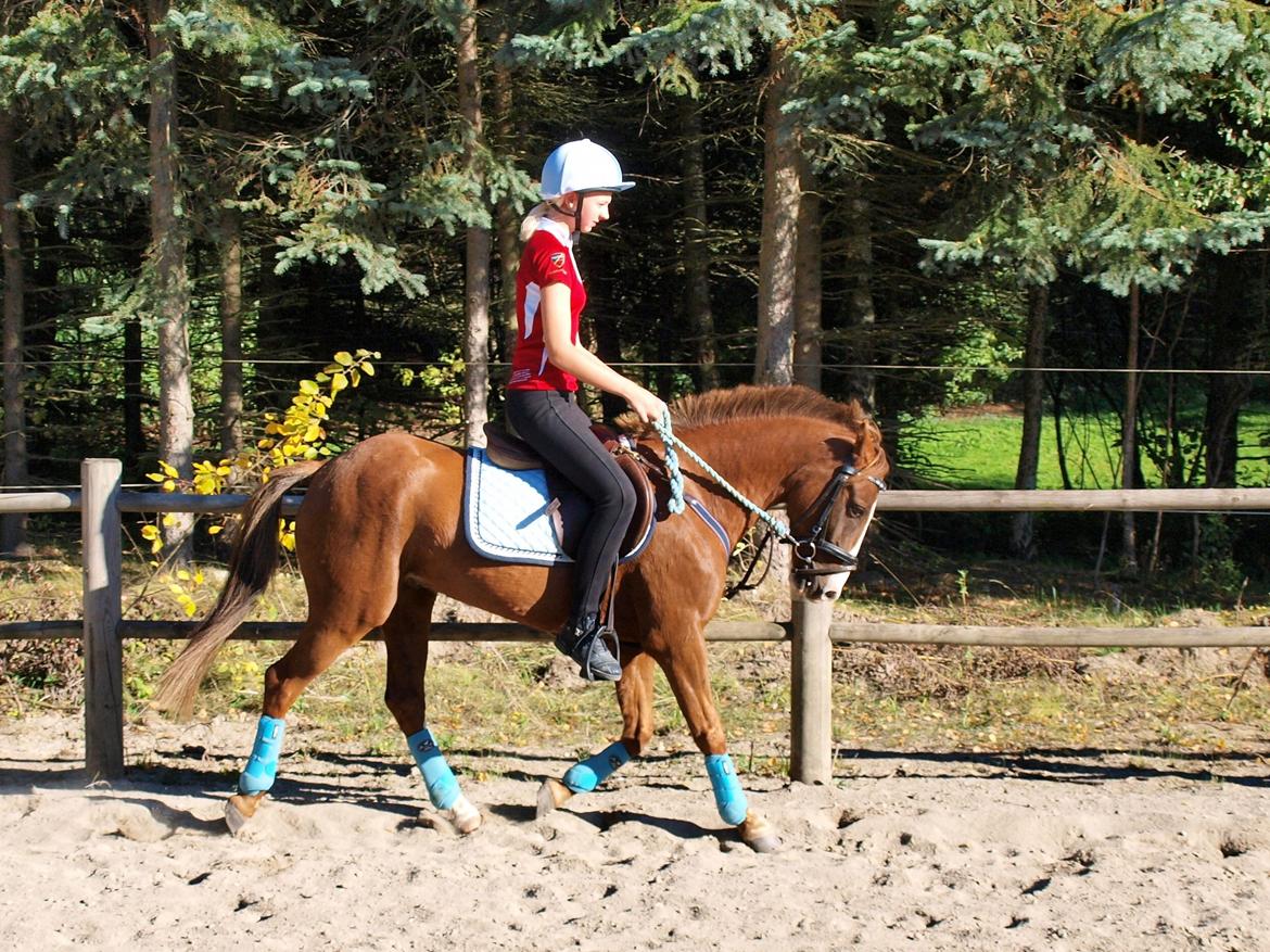 Tysk Sportspony Ghost/Lillemand - Savner min skat..[Tidl. Part] - It always makes me cry when i realize that we will never be together.. billede 3