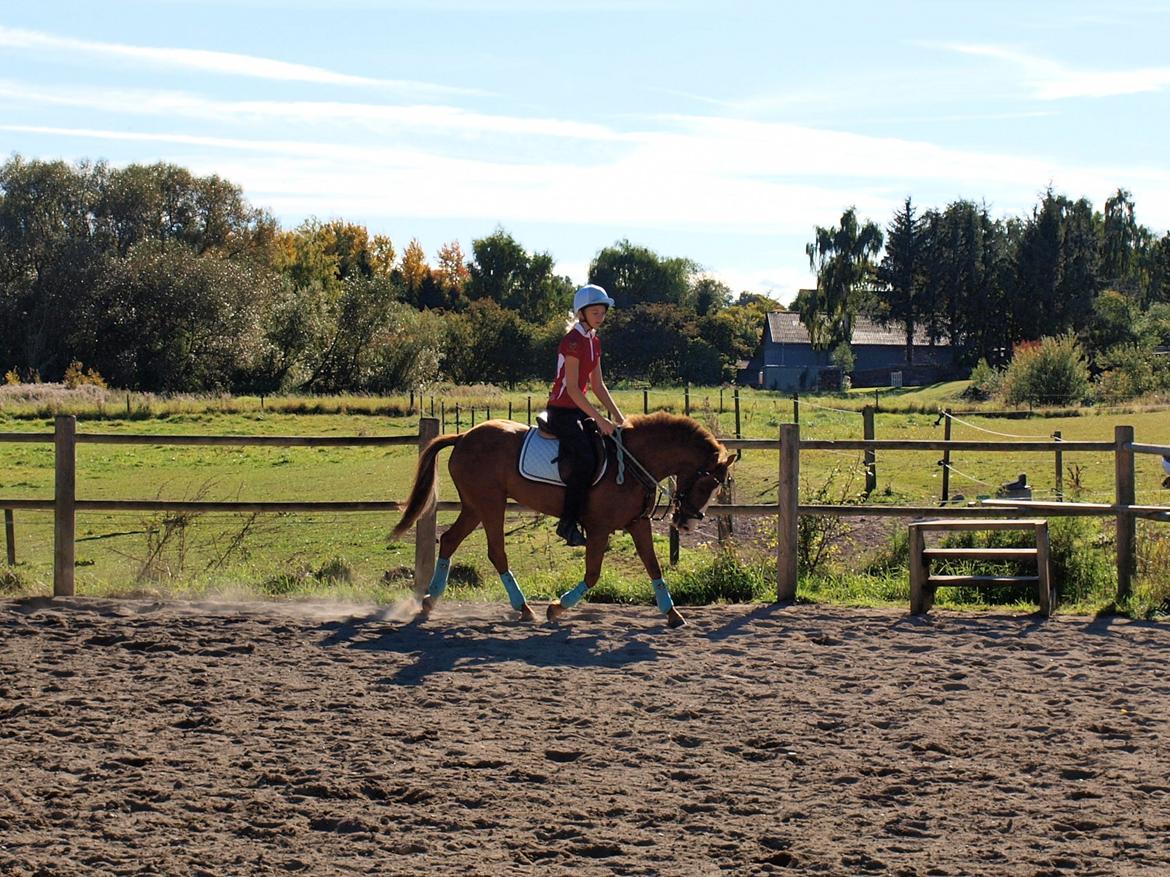 Tysk Sportspony Ghost/Lillemand - Savner min skat..[Tidl. Part] - I tried so hard to get better, to get over this, to forget it all and move on. I thought i was getting to the point where i could say: "Wow, i feel alot better!" But right now i couldn't feel any worse.. billede 4