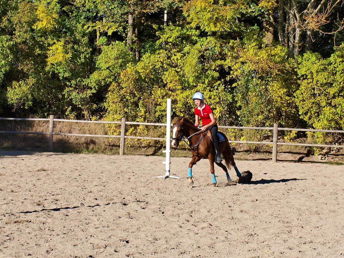 Tysk Sportspony Ghost/Lillemand - Savner min skat..[Tidl. Part] - I don't like the momories because the teas come so easily. It's a constant war between remebering and forgetting.. billede 7