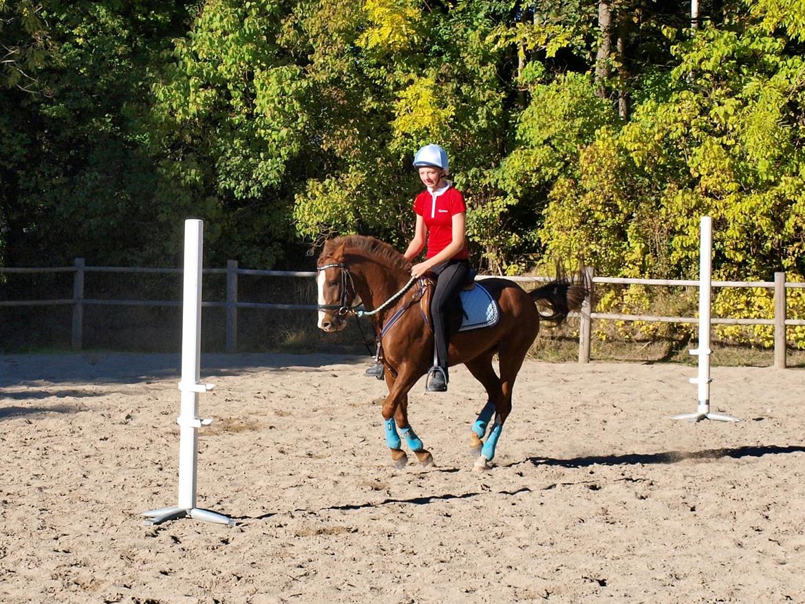 Tysk Sportspony Ghost/Lillemand - Savner min skat..[Tidl. Part] - They say you don't know what you've got till it's gone. Truth is - you knew exactly what you had, you just never thought you'd lose it..  billede 9