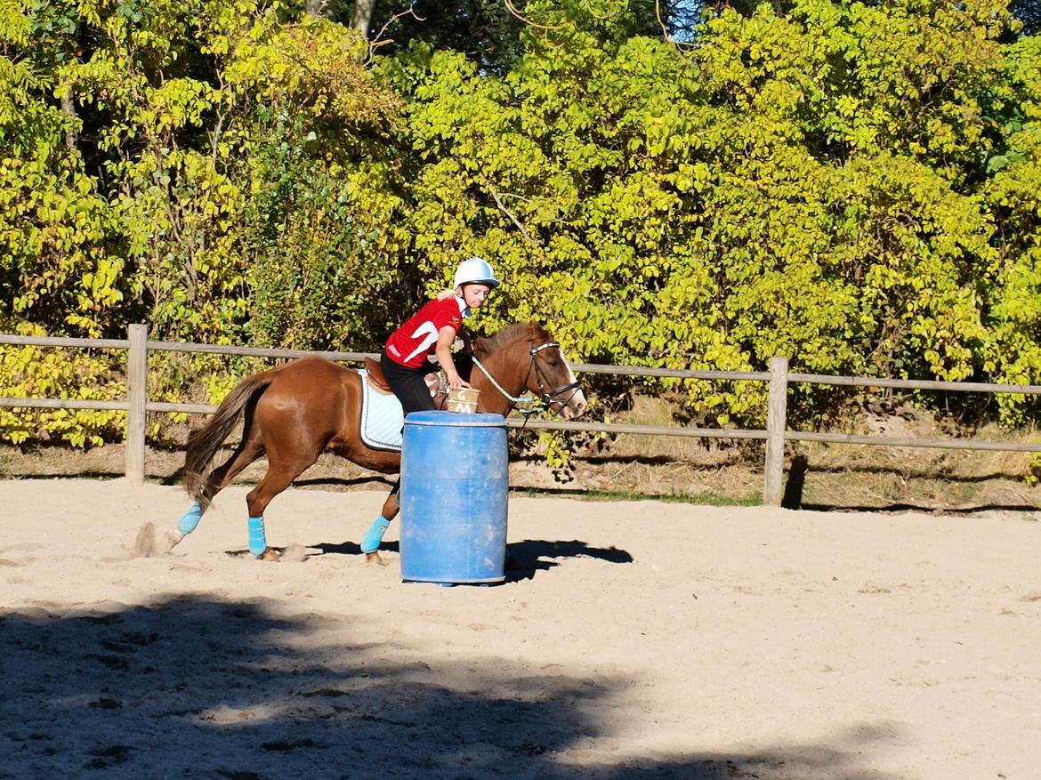 Tysk Sportspony Ghost/Lillemand - Savner min skat..[Tidl. Part] - People always say - "Why regret something you once wanted?" But if i had known what i know now i never would have wanted it in the first place.. billede 16