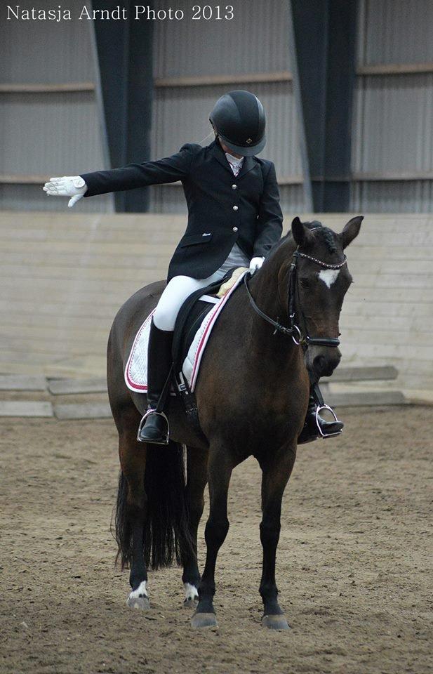 New Forest Søndermarken's Bojana billede 18