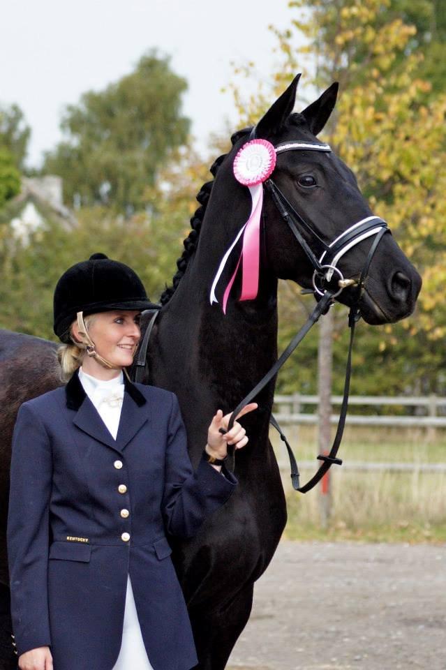 Hannoveraner Didoo von Hestebjerggaard billede 20