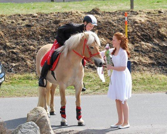 Anden særlig race Safran - Smukke Sidsel bliver hentet til sin konfirmation <3 billede 18