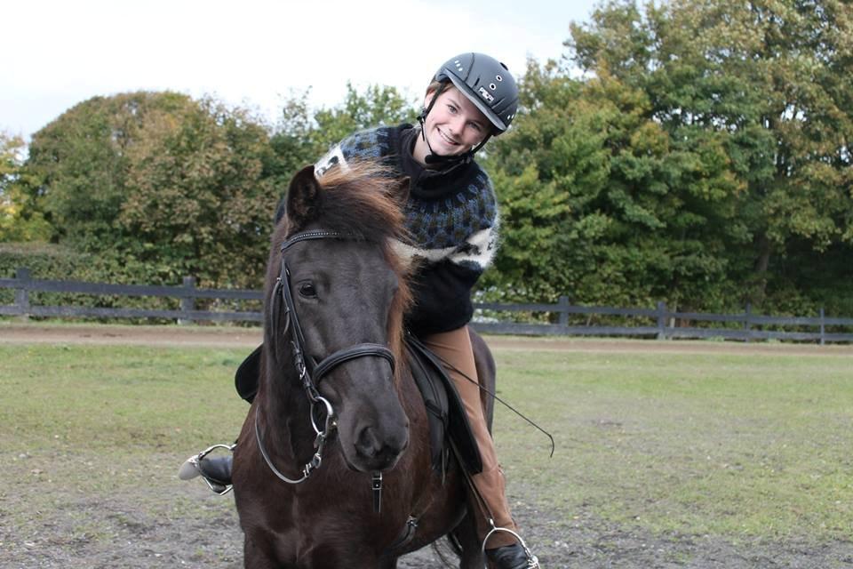 Islænder SVALA FRA ANNERUP (Svalte) billede 13