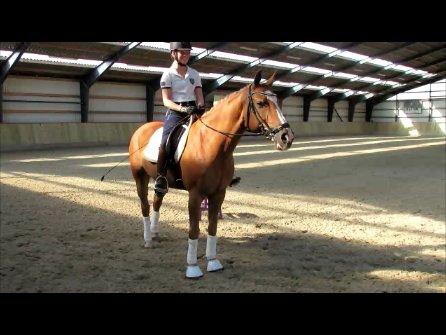 DSP Flika B-pony billede 3