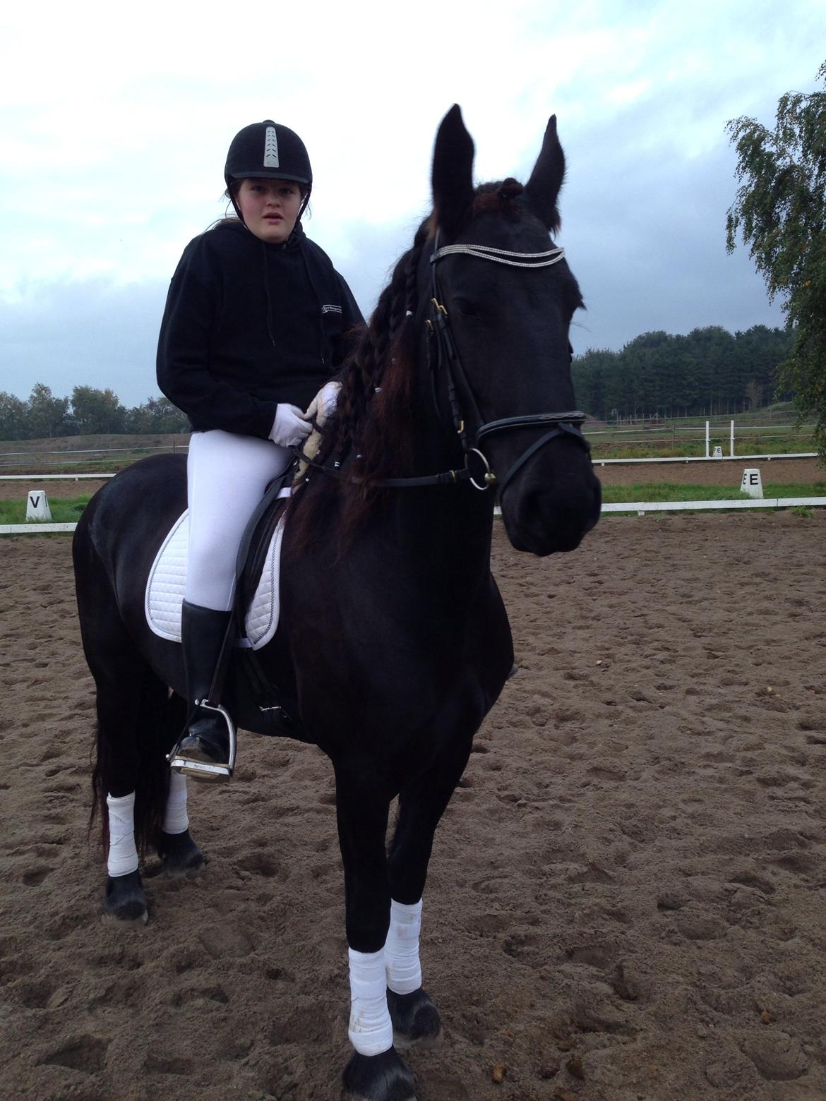 Frieser Karstina billede 13