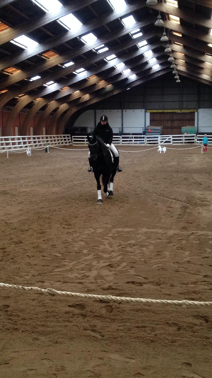 Frieser Karstina billede 14