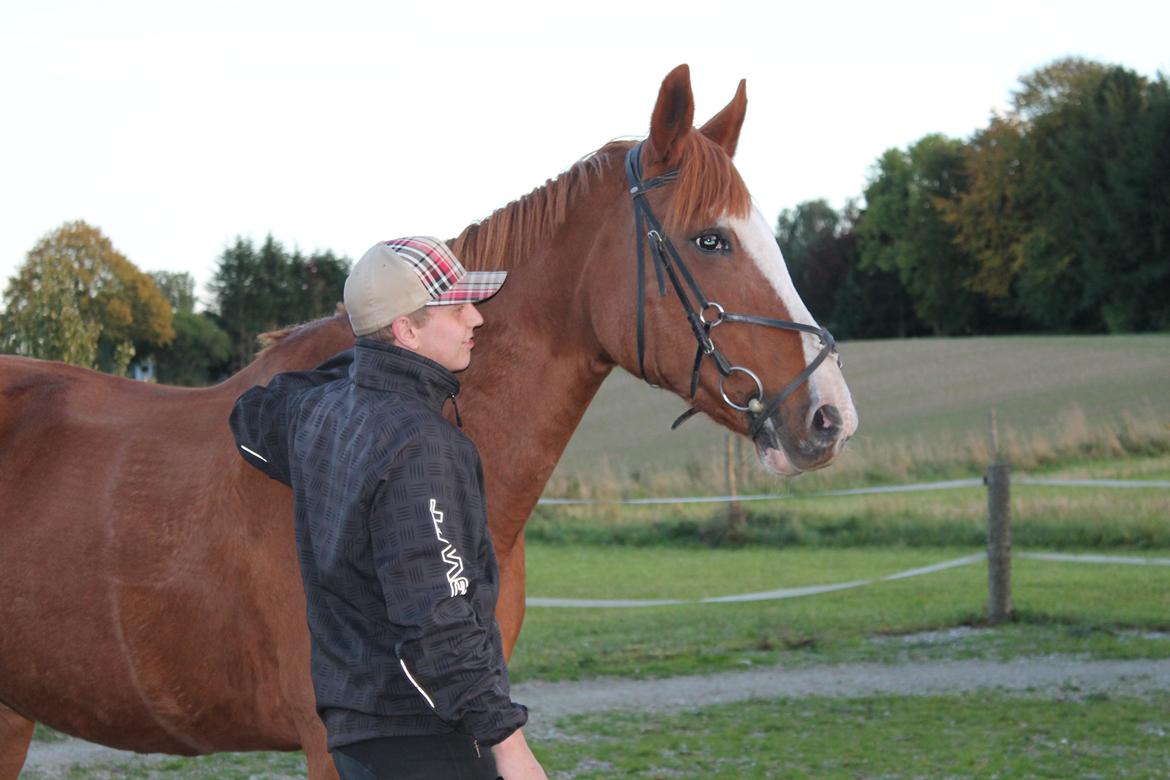 Anden særlig race Isabella (Issa) <3 Solgt :'( billede 24