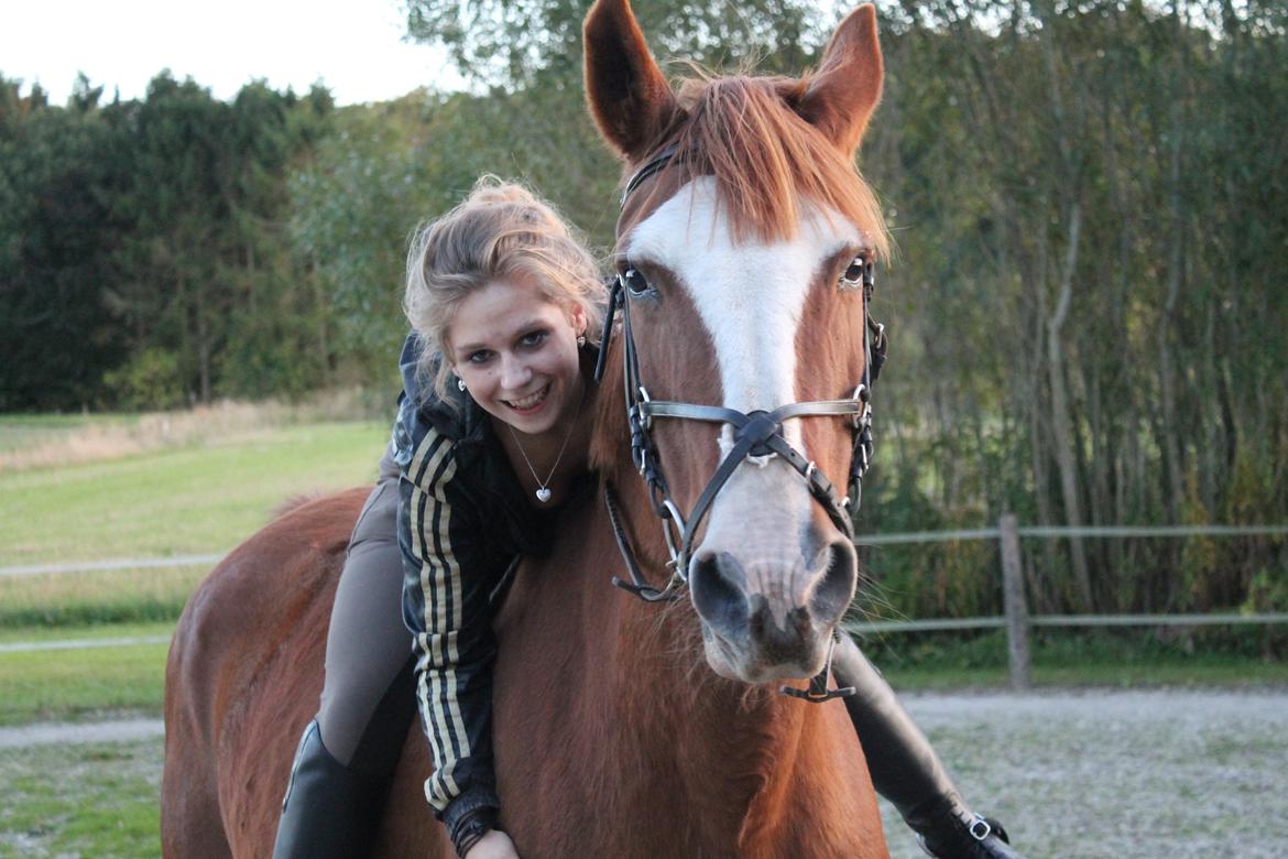 Anden særlig race Isabella (Issa) <3 Solgt :'( billede 1